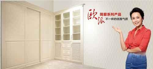 2016年國內最受歡迎十大衣柜品牌