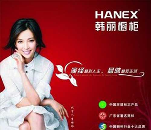 櫥柜哪個品牌好?2016年十大櫥柜品牌推薦 櫥柜哪個品牌好?2016年十大櫥柜品牌推薦