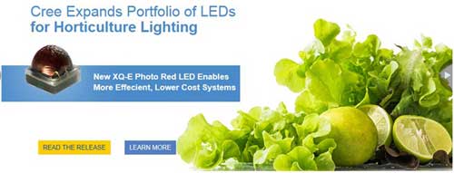 科銳宣布推出針對(duì)植物照明優(yōu)化LED新品