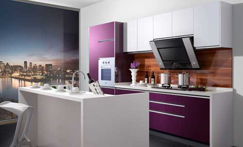 屬于世界500強企業(yè)的著名廚衛(wèi)電器品牌有哪些? 屬于世界500強企業(yè)的著名廚衛(wèi)電器品牌有哪些?