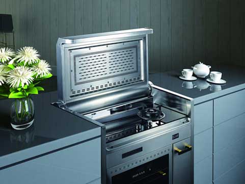 從中國廚衛電器十大品牌中解讀行業的未來趨勢 從中國廚衛電器十大品牌中解讀行業的未來趨勢