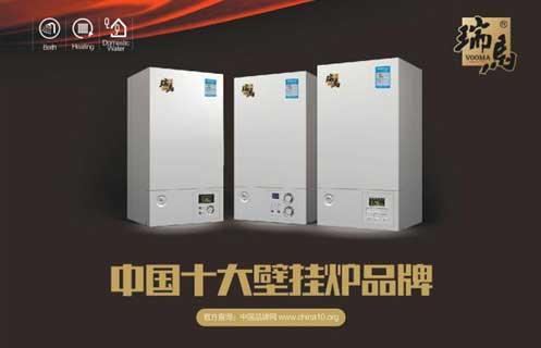 轟動全城：瑞馬引領(lǐng)壁掛爐行業(yè) 踏入央視品牌時代