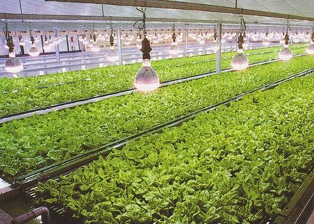 盤點出十大LED照明行業主要應用領域