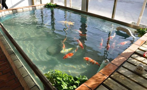 魚池防水施工要注意什么問題?選哪種防水材料好? 魚池防水施工要注意什么問題?選哪種防水材料好?