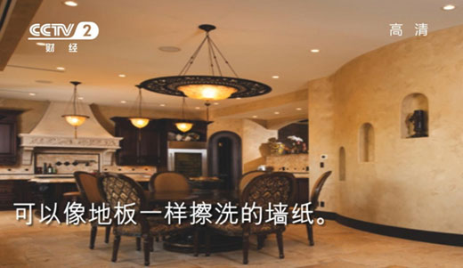 泰詩爾相約央視 鑄造十年金牌品質