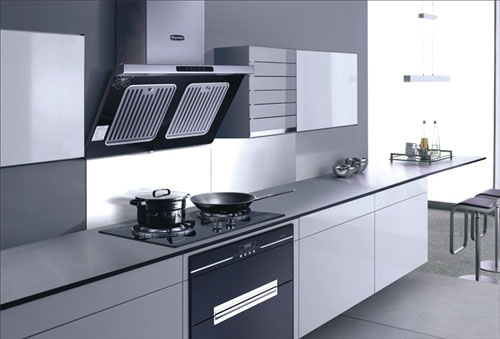 環保是消費者的需求 廚房電器順應需求贏青睞 環保是消費者的需求 廚房電器順應需求贏青睞