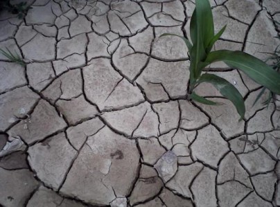 解決水資源浪費刻不容緩 安華啟動智能衛(wèi)浴“節(jié)水時代”