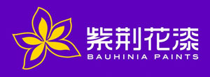 最受歡迎的水性漆品牌，最新的中國十大水性漆品牌排名