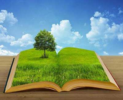 建造環保可持續發展的板材企業將是大勢所趨