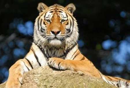 選個(gè)壁掛爐居然跟業(yè)主的性格有關(guān)? 選個(gè)壁掛爐居然跟業(yè)主的性格有關(guān)?