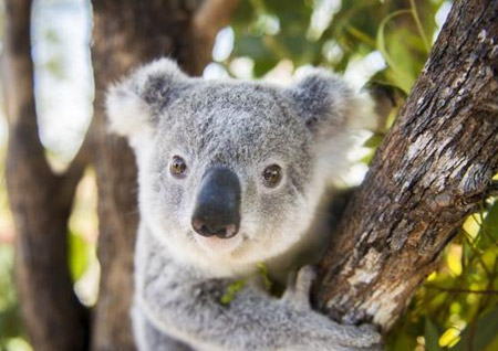 選個(gè)壁掛爐居然跟業(yè)主的性格有關(guān)? 選個(gè)壁掛爐居然跟業(yè)主的性格有關(guān)?