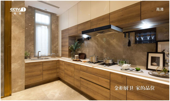 金柜廚衛聯手央視 打造全國知名品牌