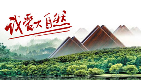 2017-2018年中國十大實木地板品牌排行榜 2017-2018年中國十大實木地板品牌排行榜