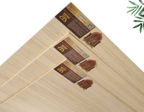 互聯(lián)網(wǎng)趨勢(shì)下 生態(tài)板企業(yè)打破固有思維謀發(fā)展