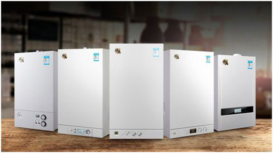 熱烈祝賀甘肅平涼合作伙伴加盟瑞馬燃氣壁掛爐