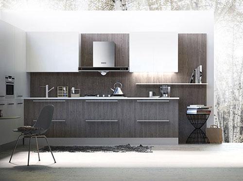 品牌受洋侵襲 中國廚衛(wèi)電器企業(yè)切勿缺乏造品牌耐心 品牌受洋侵襲 中國廚衛(wèi)電器企業(yè)切勿缺乏造品牌耐心