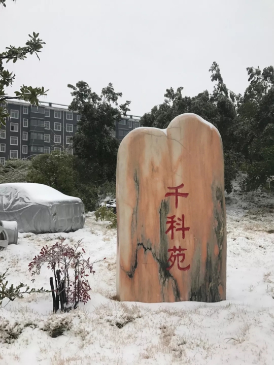 千科廚衛電器潘遠宏:智能產品、智慧營銷一手抓,終端是品牌最后浪潮! 千科廚衛電器潘遠宏:智能產品、智慧營銷一手抓,終端是品牌最后浪潮!