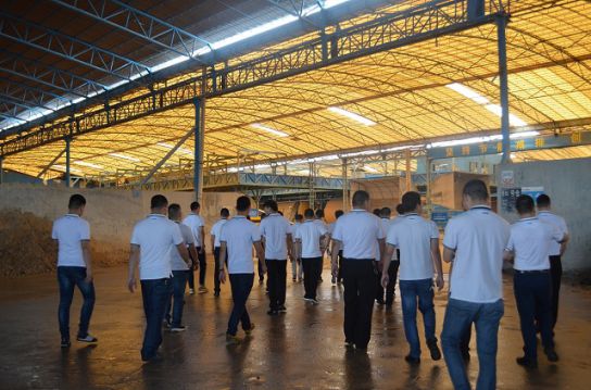 陶瓷品牌日記|能強開展《藍山印象現代瓷磚》專項培訓 陶瓷品牌日記|能強開展《藍山印象現代瓷磚》專項培訓