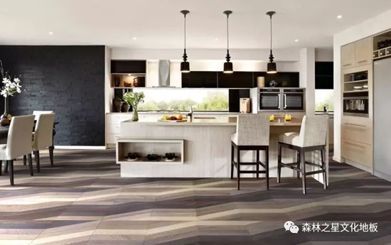 品牌榮譽(yù)|森林之星獲2017年度中國家居地板類色彩獎(jiǎng)