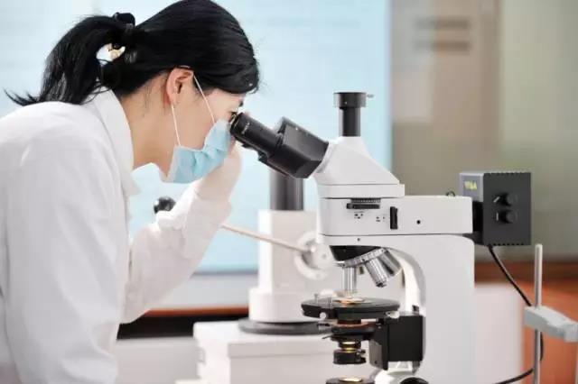 鵬鴻實力再獲肯定,蟬聯木業網2017年度“生態板十大品牌” 鵬鴻實力再獲肯定,蟬聯木業網2017年度“生態板十大品牌”