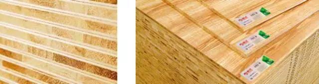 鵬鴻木業(yè)趙玉林揭秘品牌背后的強大凝聚力和旺盛生命力 鵬鴻木業(yè)趙玉林揭秘品牌背后的強大凝聚力和旺盛生命力