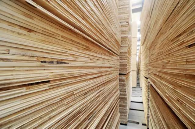 鵬鴻實力再獲肯定,蟬聯木業網2017年度“生態板十大品牌” 鵬鴻實力再獲肯定,蟬聯木業網2017年度“生態板十大品牌”