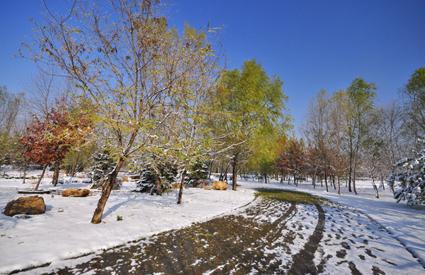 有顏又有趣型男應被大眾所愛，介紹下我的NCB 500