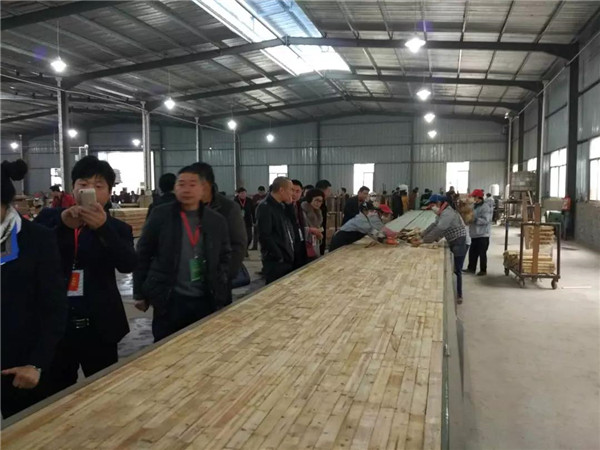 “315”,金利源健康板材給您打一支品質強心針! “315”,金利源健康板材給您打一支品質強心針!