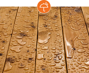 2018圣普麗斯防水地板堅守本心、繼續前行 2018圣普麗斯防水地板堅守本心、繼續前行