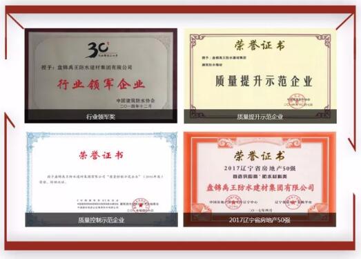 防水材料品牌榮譽(yù)|禹王集團(tuán)榮獲中國建材企業(yè)200強(qiáng)等