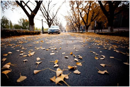 品牌產品|享受恬靜時光,卡瑞68系列淋浴房 品牌產品|享受恬靜時光,卡瑞68系列淋浴房