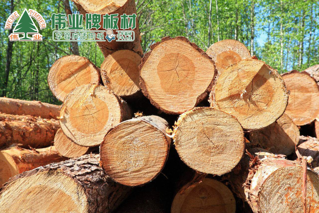 偉業牌生態板四大優點成就卓越品質 偉業牌生態板四大優點成就卓越品質