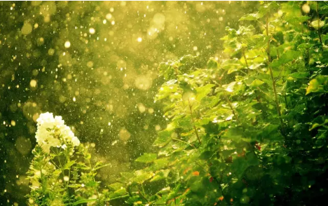 品牌產品|嘉俊瓷拋石·遇見生命中的明媚陽光 品牌產品|嘉俊瓷拋石·遇見生命中的明媚陽光