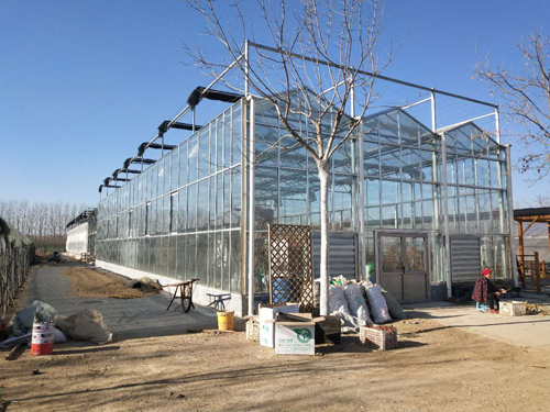 品牌案例|利普曼空氣能之農業園花卉基地“煤改空氣源” 品牌案例|利普曼空氣能之農業園花卉基地“煤改空氣源”