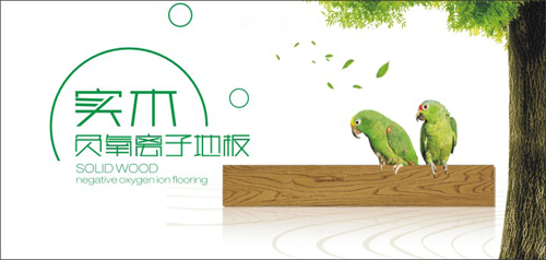 品牌產品|天科負離子地板,把山中氧氣帶回家 品牌產品|天科負離子地板,把山中氧氣帶回家