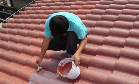 中國十大防水材料品牌打穩根基,看準未來發展潮流 中國十大防水材料品牌打穩根基,看準未來發展潮流