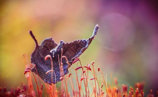 品牌產品|人民電器R86-L9繹彩系列,開啟光彩人生 品牌產品|人民電器R86-L9繹彩系列,開啟光彩人生