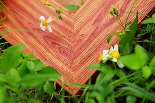 品牌發展|低調:這家涂企連續兩年業績增長100%! 品牌發展|低調:這家涂企連續兩年業績增長100%!