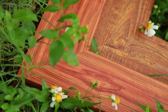 品牌發展|低調:這家涂企連續兩年業績增長100%! 品牌發展|低調:這家涂企連續兩年業績增長100%!