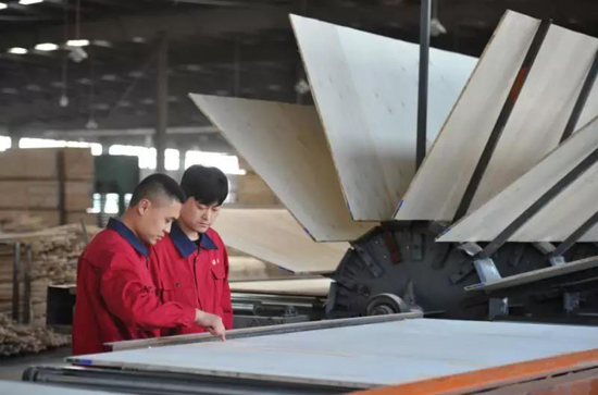 品牌榮譽|2018中國板材十大品牌評選 鵬鴻獨攬5項大獎 品牌榮譽|2018中國板材十大品牌評選 鵬鴻獨攬5項大獎