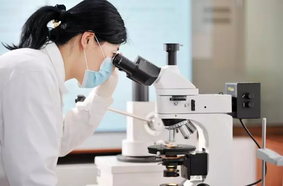 品牌榮譽|2018中國板材十大品牌評選 鵬鴻獨攬5項大獎 品牌榮譽|2018中國板材十大品牌評選 鵬鴻獨攬5項大獎