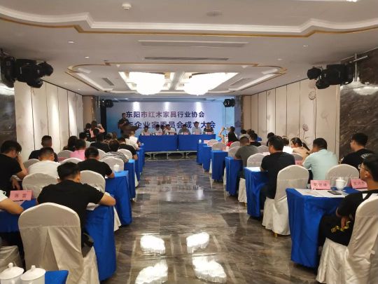 品牌榮譽|雙洋紅木董事長王海洋榮升東陽市青年企業家委員會主任