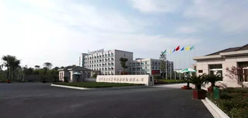 走進兔寶寶，了解“品字標”企業如何為高品質實力代言