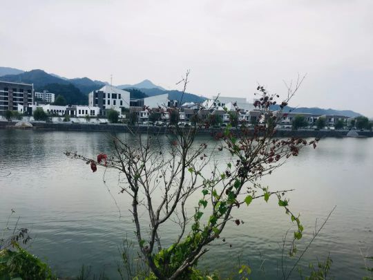 火星人集成灶銷售部9月績溪會議:我們是最棒的團隊! 火星人集成灶銷售部9月績溪會議:我們是最棒的團隊!