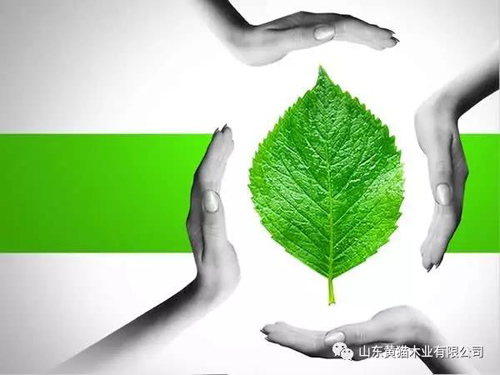 品牌產(chǎn)品|綠色家裝的最佳伴侶——黃貓板材 品牌產(chǎn)品|綠色家裝的最佳伴侶——黃貓板材