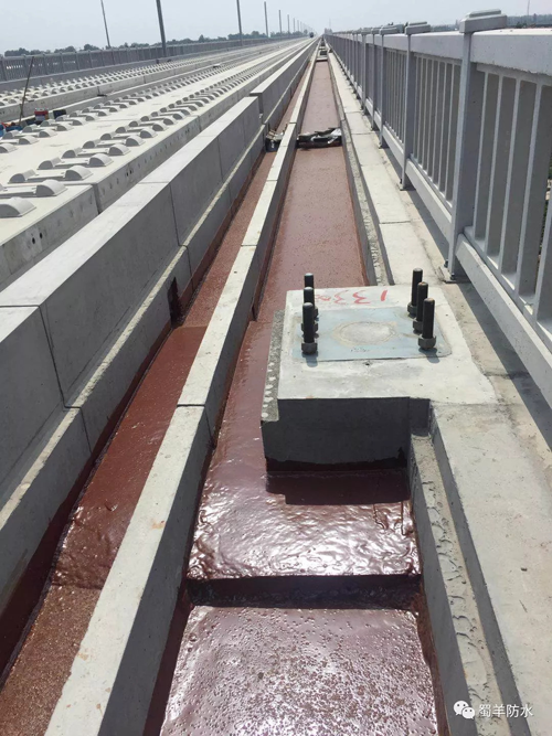 品牌案例|蜀羊防水為城市建設品質助力,領跑城市發展 品牌案例|蜀羊防水為城市建設品質助力,領跑城市發展