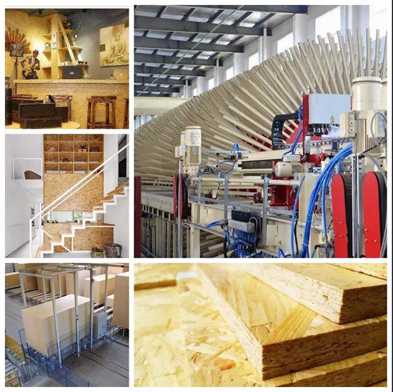 趁勝追擊！萬象品牌二代家具板材馭世駕臨