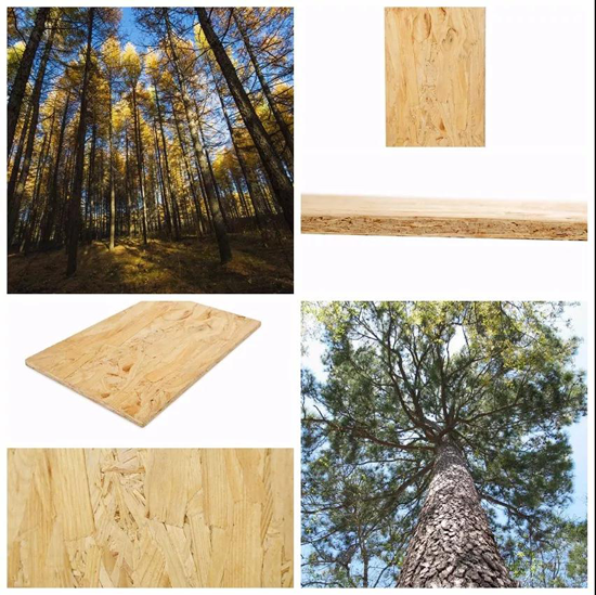 趁勝追擊！萬象品牌二代家具板材馭世駕臨