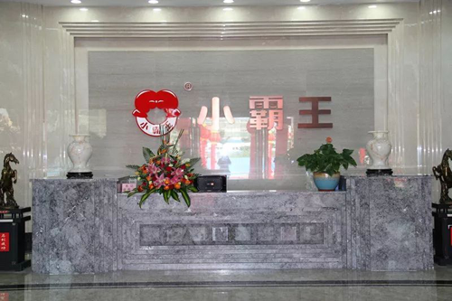 小霸王壁掛爐：三駕馬車（產(chǎn)品、技術、服務）助力前行