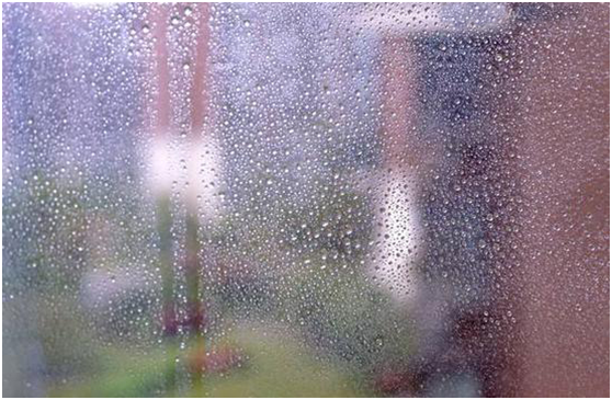 “一桶天下”負離子涂料:一起來“深林氧居” “一桶天下”負離子涂料:一起來“深林氧居”